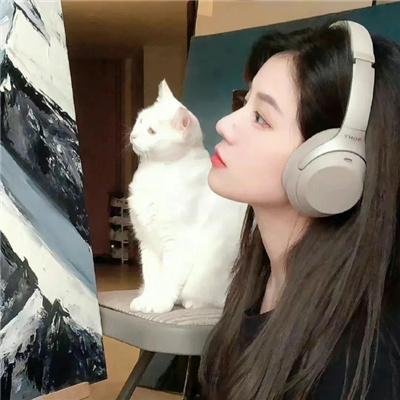 奔跑的蔷薇